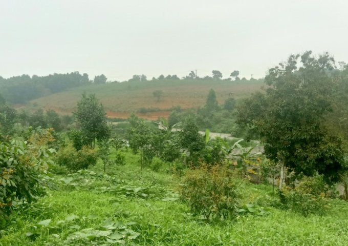 BÁN ĐẤT TẶNG NHÀ 2 TẦNG THÔN 7 BA TRẠI BA VÌ HÀ NỘI