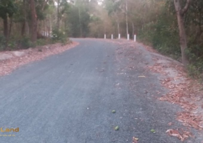 CẦN BÁN GẤP LÔ ĐẤT ĐẸP TẠI TỊNH BIÊN, AN GIANG !!!