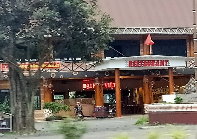 MUỐN CHUYỂN ĐỔI LÀM ĂN CẦN BÁN BÁN 1.2HA ĐẤT TRỒNG CÂY ĂN TRÁI TẠI DI LINH - LÂM ĐỒNG.