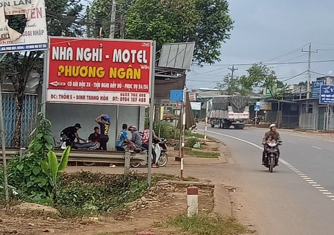 MUỐN CHUYỂN ĐỔI LÀM ĂN CẦN BÁN BÁN 1.2HA ĐẤT TRỒNG CÂY ĂN TRÁI TẠI DI LINH - LÂM ĐỒNG.