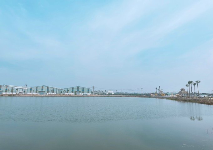 CẦN BÁN ĐẤT NỀN TẠI ĐỨC HÒA LONG AN