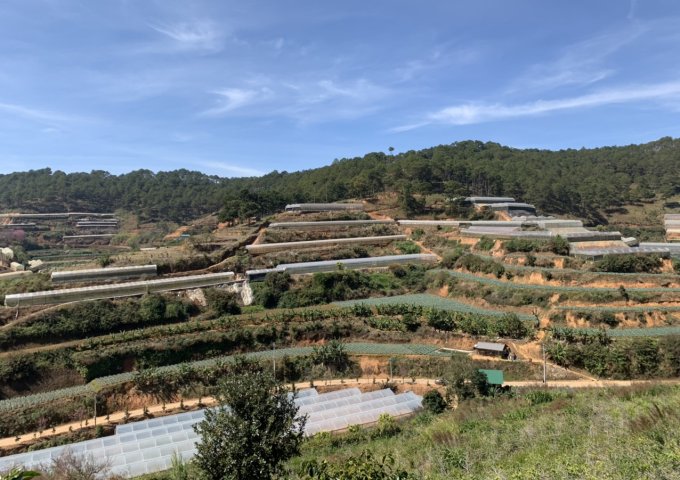 BÁN GẤP 15 LÔ ĐẤT SỔ LIỀN TAY NGAY GA TRẠI MÁT ĐÀ LẠT - ĐÀ LẠT GIÁ CHỈ 3TR/M2 NGAY KHU CÔNG VIÊN LÀNG HOA