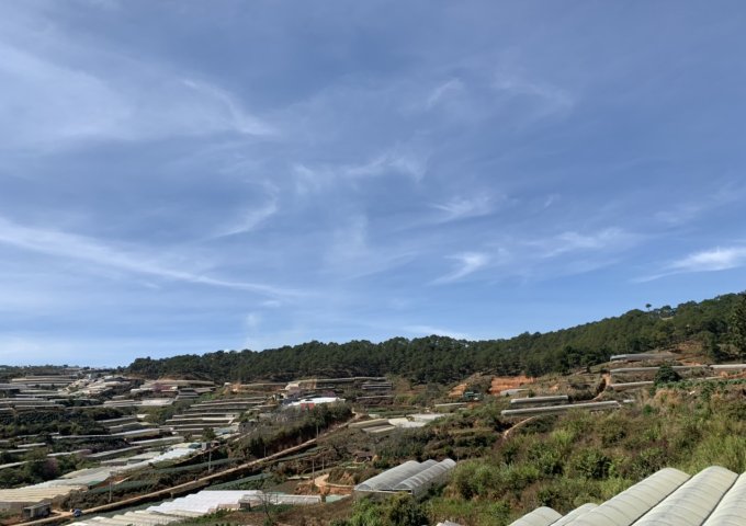 BÁN GẤP 15 LÔ ĐẤT SỔ LIỀN TAY NGAY GA TRẠI MÁT ĐÀ LẠT - ĐÀ LẠT GIÁ CHỈ 3TR/M2 NGAY KHU CÔNG VIÊN LÀNG HOA