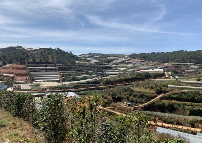 BÁN GẤP 15 LÔ ĐẤT SỔ LIỀN TAY NGAY GA TRẠI MÁT ĐÀ LẠT - ĐÀ LẠT GIÁ CHỈ 3TR/M2 NGAY KHU CÔNG VIÊN LÀNG HOA