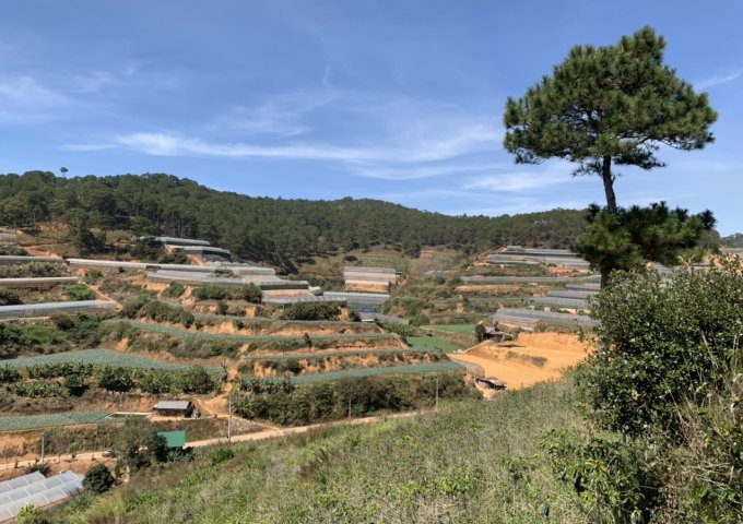 BÁN GẤP 15 LÔ ĐẤT SỔ LIỀN TAY NGAY GA TRẠI MÁT ĐÀ LẠT - ĐÀ LẠT GIÁ CHỈ 3TR/M2 NGAY KHU CÔNG VIÊN LÀNG HOA