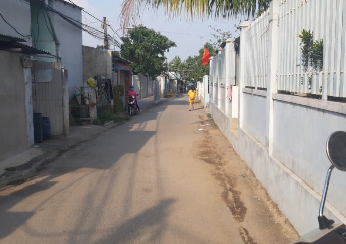 BÁN ĐẤT SỔ HỒNG RIÊNG FULL THỔ CƯ ẤP 2 LONG THỌ - NHƠN CHẠCH - ĐỒNG NAI