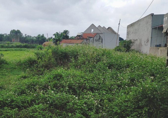 CHÍNH CHỦ CẦN BÁN GẤP LÔ ĐẤT ĐẸP THÔN ĐÔNG SƠN, XÃ TÂN BÌNH, HUYỆN ĐẦM HÀ, QUẢNG NINH