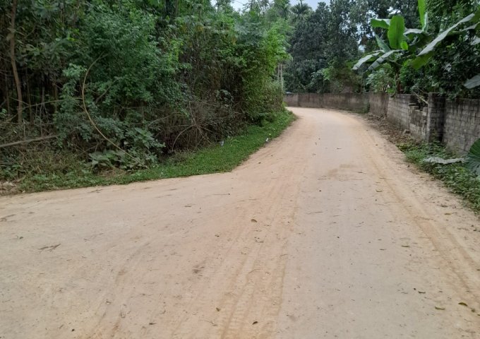 CHÍNH CHỦ CẦN BÁN ĐẤT TẠI TIẾN XUÂN, THẠCH THẤT, HÀ NỘI