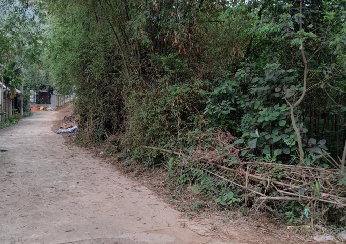 CHÍNH CHỦ CẦN BÁN ĐẤT TẠI TIẾN XUÂN, THẠCH THẤT, HÀ NỘI