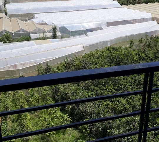 EM VẪN BÁN NHÀ ĐẤT NHA MỌI NGƯỜI ƠI - EM CÓ 1 SỐ SẢN PHẨM NHƯ SAU: