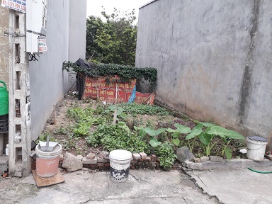 CHÍNH CHỦ CẦN BÁN ĐẤT QUANG MINH, MÊ LINH, HÀ NỘI