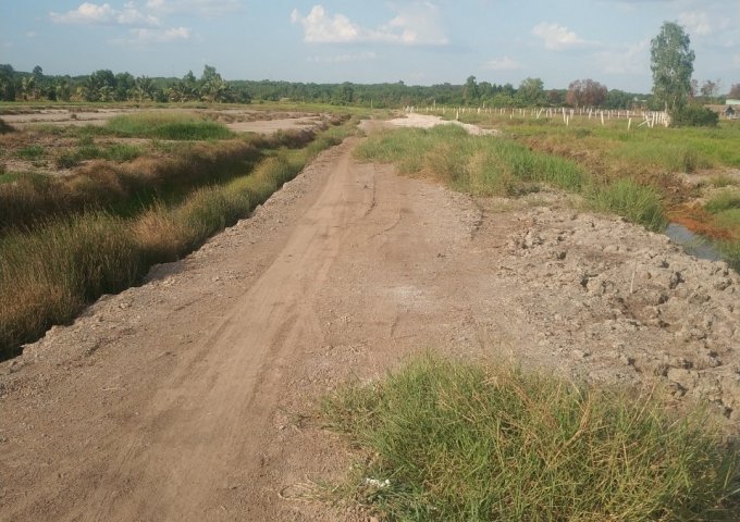 CHÍNH CHỦ BÁN ĐẤT RUỘNG GIÁ ĐẦU TƯ TẠI XÃ PHÚ AN, BẾN CÁT, BÌNH DƯƠNG