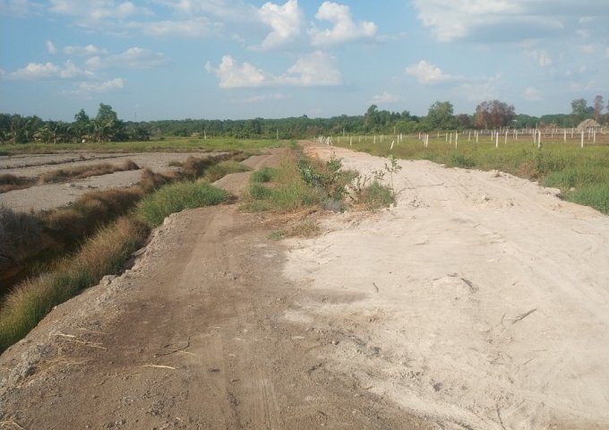 CHÍNH CHỦ BÁN ĐẤT RUỘNG GIÁ ĐẦU TƯ TẠI XÃ PHÚ AN, BẾN CÁT, BÌNH DƯƠNG