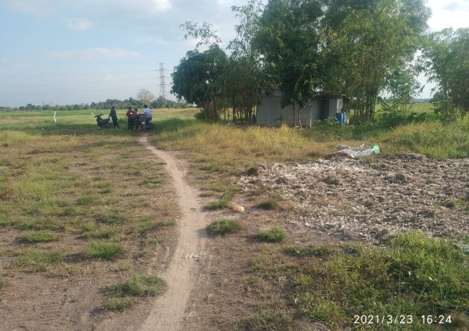 CHÍNH CHỦ BÁN ĐẤT RUỘNG GIÁ ĐẦU TƯ TẠI XÃ PHÚ AN, BẾN CÁT, BÌNH DƯƠNG