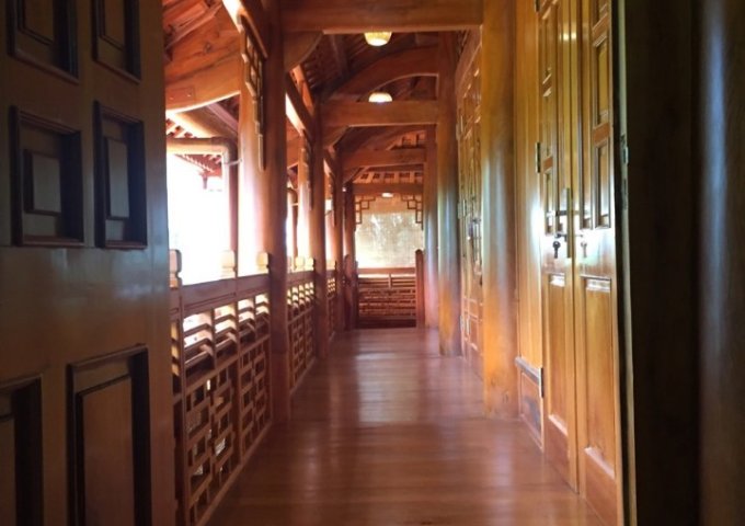 13C GREEN LIFE 379 2 16/17 27 32 TỶ PHONG PHÚ, BÌNH CHÁNH