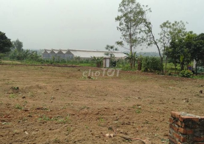 Cần bán đất thổ cư tại đường Võ Nguyên Giáp, Xã Minh Phú, Huyện Sóc Sơn, Hà Nội