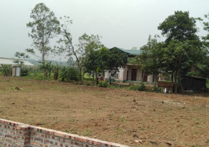 Cần bán đất thổ cư tại đường Võ Nguyên Giáp, Xã Minh Phú, Huyện Sóc Sơn, Hà Nội