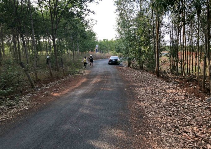 CHÍNH CHỦ CẦN BÁN ĐẤT TRỒNG CÂY LÂU NĂM Ở VŨNG TÀU