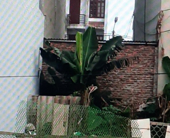 Chính chủ 0975983618  bán gấp lô đất dịch vụ dãy 2 khu đất dịch vụ Cây Sữa TT Kim Bài, xây nhà 5 tầng ở ngay giá 29  triệu/m (có thỏa thuận)