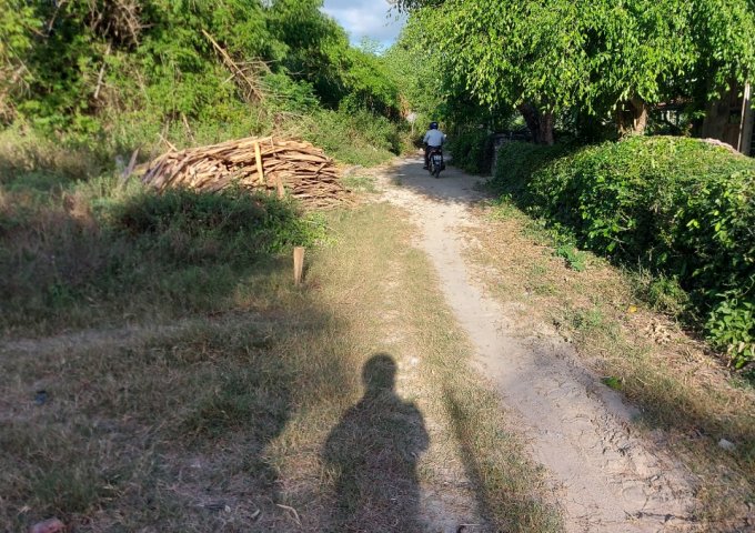 ĐẤT AN HÒA 2, PHƯỚC AN, TUY PHƯỚC, BÌNH ĐỊNH.- MIỀN ĐẤT HỨA, MẢNH ĐẤT ĐẦY TIỀM NĂNG.