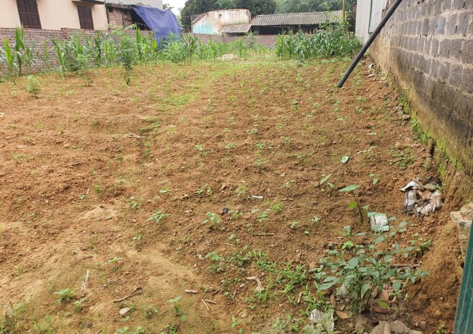 Chính Chủ Bán Đất Nở Hậu - Vị Trí Đắc Địa Tại  - Xã Xuân Sơn - Thị xã Sơn Tây - Hà Nội  Liên hệ SĐT: 0962161235   