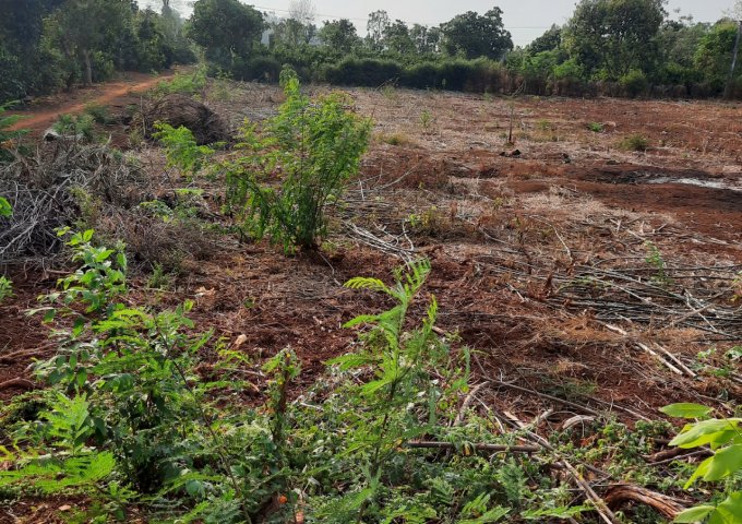 CƠ HỘI TỐT ĐỂ SỞ HỮU LÔ ĐẤT TẠI XÃ EA NUÔL - HUYỆN BUÔN ĐUÔN - TỈNH ĐẮK LẮK