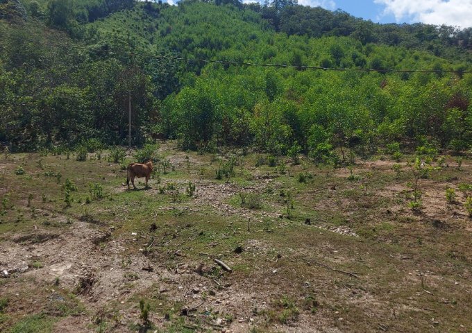 CHÍNH CHỦ CẦN BÁN ĐẤT Ở KHÁNH HÒA