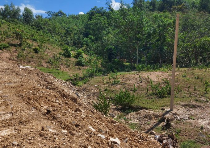 CHÍNH CHỦ CẦN BÁN ĐẤT Ở KHÁNH HÒA