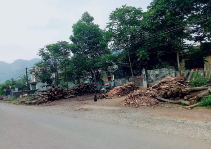 GIÁ TỐT! CHÍNH CHỦ BÁN ĐẤT CẨM TÂM, MẶT TIỀN TỈNH LỘ 518 - CẨM THỦY, THANH HOÁ. LH: 0362045078