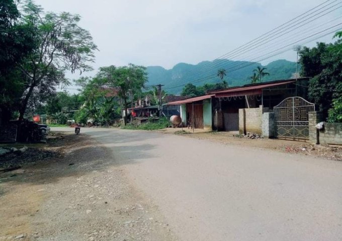 GIÁ TỐT! CHÍNH CHỦ BÁN ĐẤT CẨM TÂM, MẶT TIỀN TỈNH LỘ 518 - CẨM THỦY, THANH HOÁ. LH: 0362045078