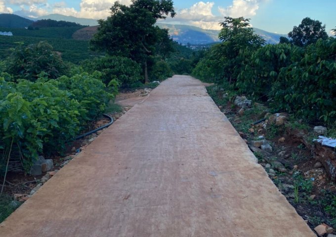 CHÍNH CHỦ BÁN LÔ ĐẤT VIEW ĐẸP TRÊN LÀ NÚI DƯỚI LÀ SUỐI CHẠY QUANH ĐẤT ĐƯỜNG Ô TÔ VÀO TẬN SÂN ,