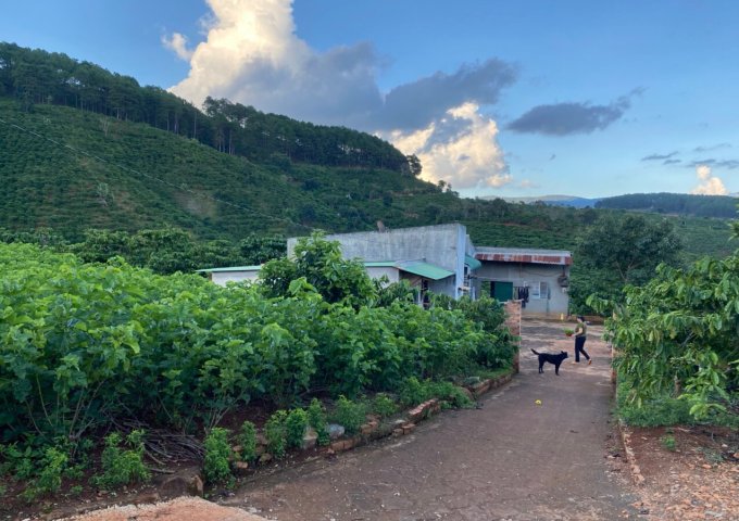 CHÍNH CHỦ BÁN LÔ ĐẤT VIEW ĐẸP TRÊN LÀ NÚI DƯỚI LÀ SUỐI CHẠY QUANH ĐẤT ĐƯỜNG Ô TÔ VÀO TẬN SÂN ,