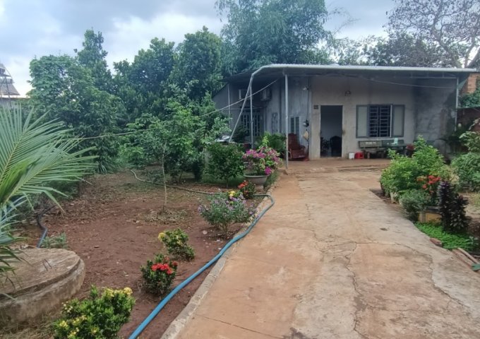 BÁN ĐẤT TẶNG NHÀ GẦN KỀ UBND XĂ XUÂN BẢO HUYỆN CẨM MỸ TỈNH ĐỒNG NAI