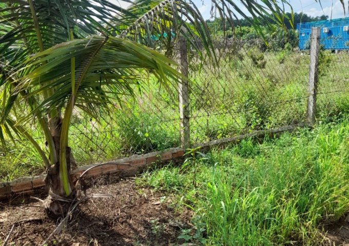 CHÍNH CHỦ CẦN BÁN ĐẤT NỀN Ở ĐỒNG NAI