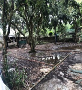 CHÍNH CHỦ CẦN BÁN ĐÁT TẠI THÔN ĐỘ CHÀNG - XÃ ĐẠI THÀNH - HUYỆN QUỐC OAI - HÀ NỘI: