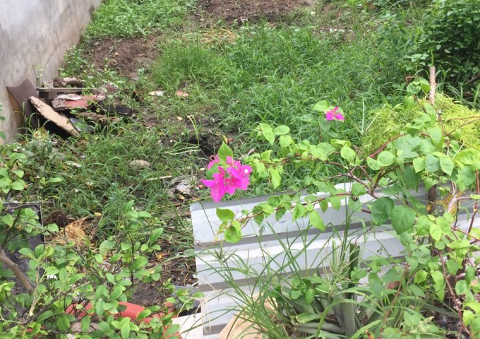 HÀNG HIẾM - TÔI CẦN BÁN GẤP LÔ ĐẤT DT 54.8M2 - P.LONG THẠNH MỸ, Q9 - TP.THỦ ĐỨC. LH: 0972729033 - 0986328722