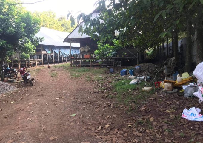 CHÍNH CHỦ CẦN BÁN GẤP ĐẤT TẠI XÃ BÀU HÀM 2, HUYỆN THỐNG NHẤT , TỈNH ĐỒNG NAI