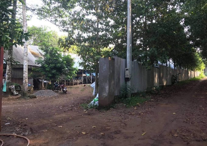 CHÍNH CHỦ CẦN BÁN GẤP ĐẤT TẠI XÃ BÀU HÀM 2, HUYỆN THỐNG NHẤT , TỈNH ĐỒNG NAI