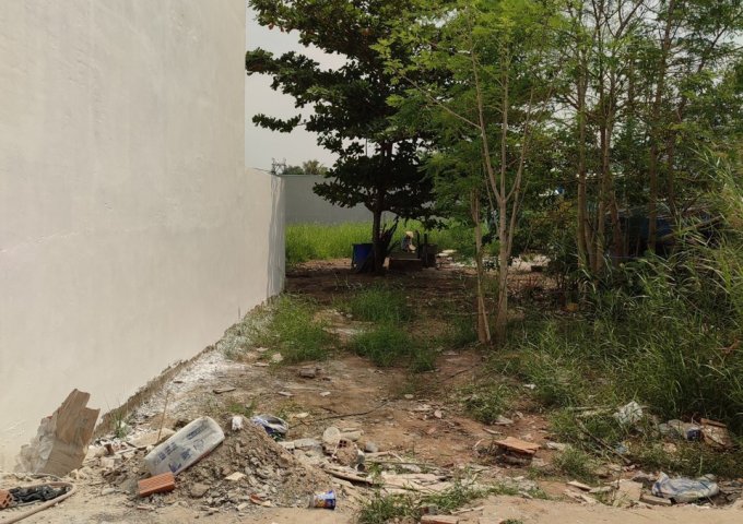 CHÍNH CHỦ BÁN ĐẤT TẠI XÃ QUY ĐỨC – H.BÌNH CHÁNH – TPHCM.