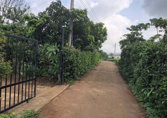 CHÍNH CHỦ CẦN BÁN ĐẤT ĐẸP GIÁ TỐT CHỈ CÓ Ở LỘC NGÃI , BẢO LÂM . HOTLINE : 0388292945