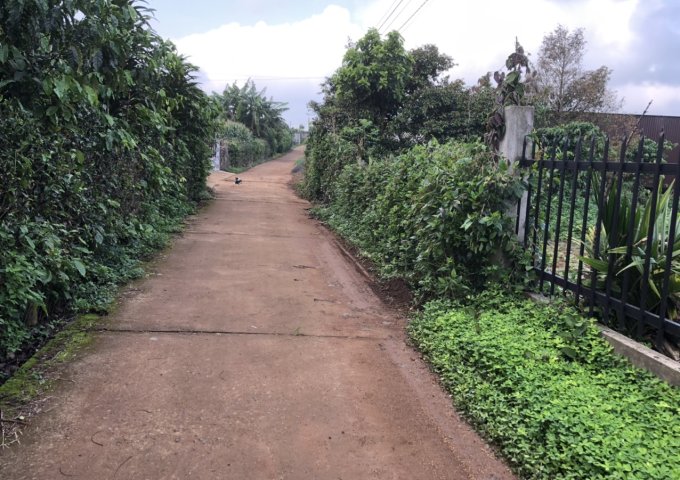 CHÍNH CHỦ CẦN BÁN ĐẤT ĐẸP GIÁ TỐT CHỈ CÓ Ở LỘC NGÃI , BẢO LÂM . HOTLINE : 0388292945