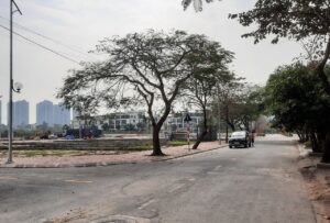 BÁN GẤP 100 m2 ĐẤT ĐẤU GIÁ MẶT PHỐ TÂN TIẾN, KHU ĐẤU GIÁ 2.55ha, PHÚC DIỄN, BẮC TỪ LIÊM