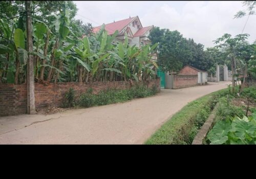 Chính chủ cần bán lô Đất tại thôn Liễu Ngạn, Xã Hoàng Vân, huyện Hiệp Hòa, tỉnh Bắc Giang.