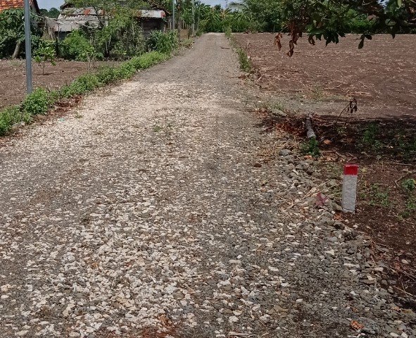 CHÍNH CHỦ CẦN BÁN ĐẤT VƯỜN GIÁ 395 TRIỆU / SÀO TẠI XÃ SÔNG RAY, HUYỆN CẨM MỸ ĐỒNG NAI