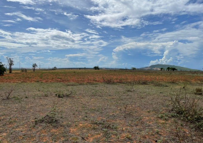 Chính chủ cần bán gấp lô đất Hàng ngộp mùa COVID Huyện Bắc Bình, tỉnh Bình Thuận.