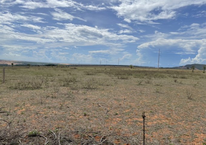 Chính chủ cần bán gấp lô đất Hàng ngộp mùa COVID Huyện Bắc Bình, tỉnh Bình Thuận.