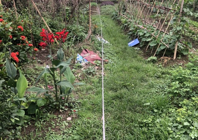 CHÍNH CHỦ CẦN BÁN LÔ ĐẤT TẠI BẮC SƠN-AN DƯƠNG-HẢI PHÒNG