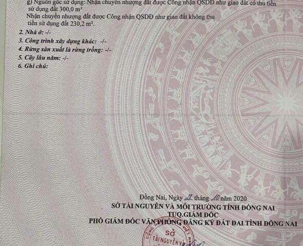 ĐẦU TƯ BẤT ĐỘNG SẢN CHƯA BAO GIỜ LÀ LỖI THỜI