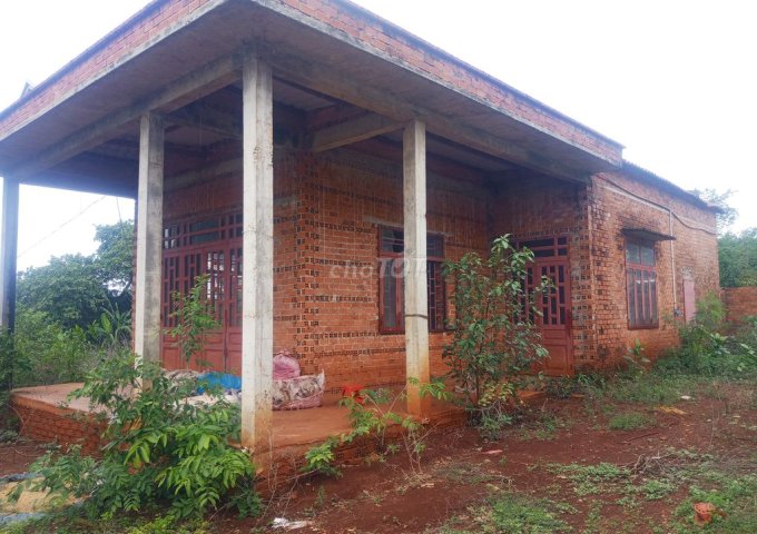 NHÀ CHÍNH CHỦ CHO THUÊ NGUYÊN CĂN GẦN CHỢ 300M2