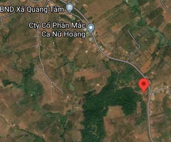 Cần bán 1.9ha đất rẫy tại Đắk Nông giá chỉ 960tr. 